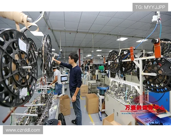 乐山企业家创新发展助力地方经济崛起与产业转型升级路径探索